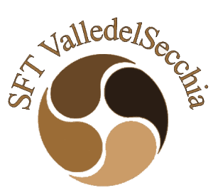 Logo Sft Valle del Secchia